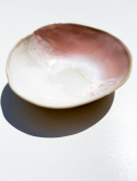 WAVE PINK salad bowl